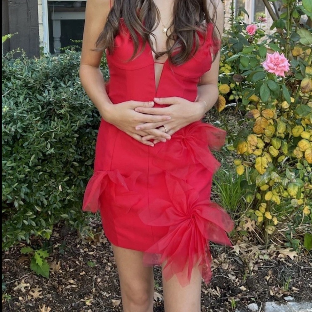 For Love And Lemons Red Mini Dress with Floral Accents